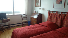 Quartier animé et multi culturel, situé à proximité du métro, de deux parcs(Butt Paris, France Chambre avec vue pour 2 (19eme) Private room in condo vacation rental 6460292