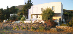 Maison traditionnelle située à 300 m de la plage dans la vallée de Lefkes, l’une  Lefkes House Entire home vacation rental 25019417