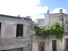 Situé en plein coeur de Bordeaux, entre le marché des Capucins et la place st Mi Bordeaux, France appartement lumineux 60 m2 Bordeaux avec ses chats Entire rental unit vacation rental 9035545