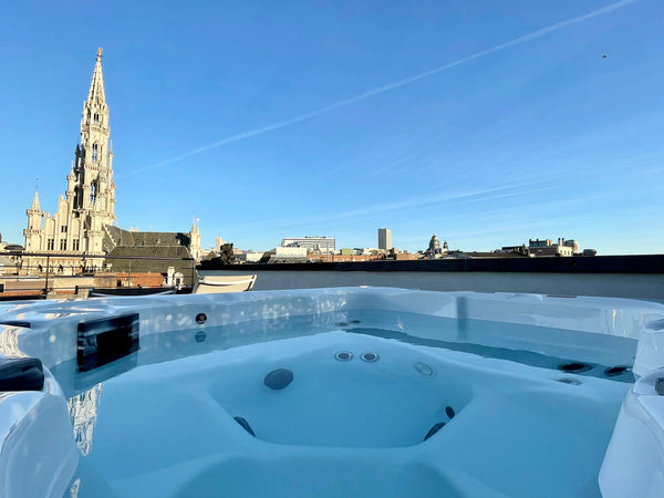 Comfortable and centrally located furnished 2 bedroom penthouse in the city cent Paris, France Grand Place - Penthouse with superb view & terrace Entire rental unit vacation rental 52791129