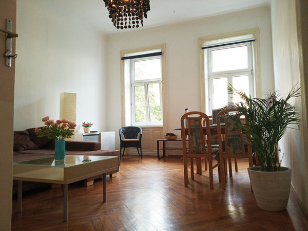 We offer only ***entirely well cleaned and desinfected apartments***, not only b Vienna, Austria NEW OFFER-get your DISCOUNT! **Cozy CityAp 50sqm** Entire rental unit vacation rental 35359998