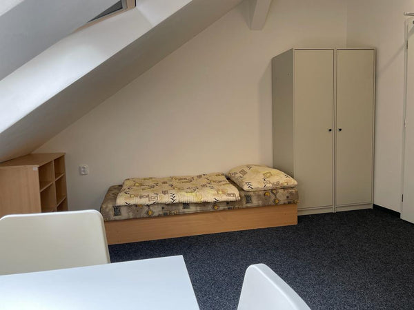I offer a cheap, beautiful and comfortable accomodation near to the city center  Prague, Czechia Beautiful accomodation near to the city center ! Entire rental unit vacation rental 636745326747203425