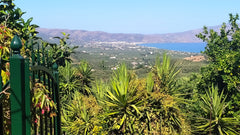 A unique village traditional renovated house of two spacious bedrooms, kitchen a  Petraki's Village House at Lyridiana village Entire cottage vacation rental 50836143