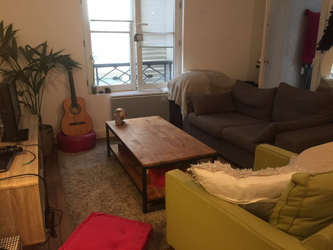 Appartement idéalement situé: proche de la gare de l'Est / du Nord, à deux pas d Paris, France Joli appartement dans Paris 10 ème Entire rental unit vacation rental 7326301