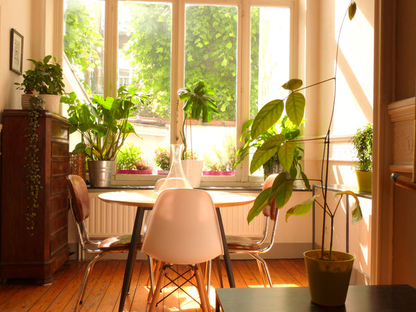 Appartement de charme dans une maison de maitre en plein coeur du quartier du Ch Meulan-en-Yvelines, France Appartement de charme en plein coeur du Chatelain Entire rental unit vacation rental 42758897