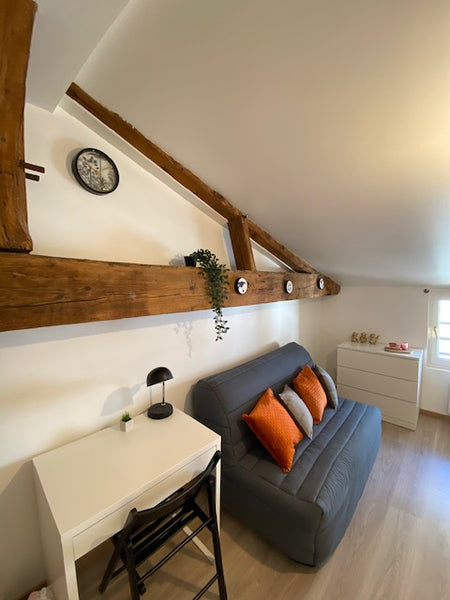 In the heart of the sector classified as a UNESCO World Heritage Site, this char Sainte-Foy-lès-Lyon, France LES FEUILLANTS, Agréable studio au coeur de Lyon 1 Entire rental unit vacation rental 51799435