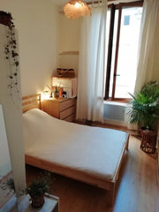 PARFAIT POUR LA FÊTE DES LUMIÈRES.<br />Joli appartement situé dans le sixième a Lyon, France Joli appartement - Lyon 6e Massèna Entire rental unit vacation rental 30419977