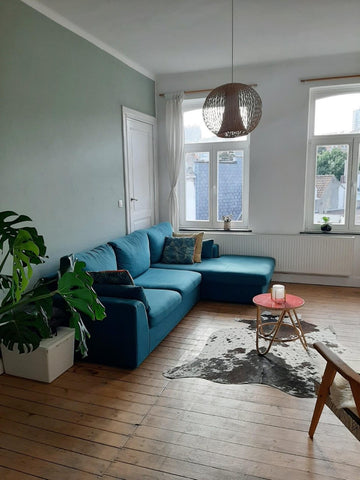 A proximité de la gare internationale du Midi, du parc de Forest et des quartier Brussels, Belgium Charmant duplex à Forest/ Saint-Gilles Entire rental unit vacation rental 602001307687656636