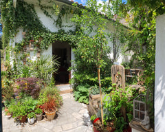 Maison de charme dans quartier calme de Talence. A 20 minutes du centre de Borde Talence, France Maison de charme avec jardin Entire home vacation rental 7304223