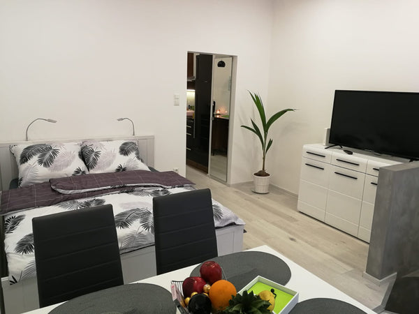 Herzlich Willkommen im historischen WIEN!<br /><br />Das ‚MAJKA Apartment‘ ist e  MAJKA Apartment Vienna Entire rental unit vacation rental 33424210