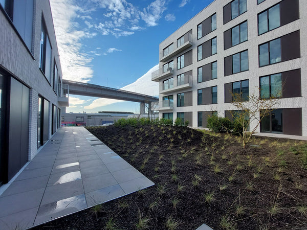 Ontspan en kom tot rust in deze vredige, stijlvolle ruimte. Zemst, Belgium 4 fonteinen - Brussels garden Entire rental unit vacation rental 54257613