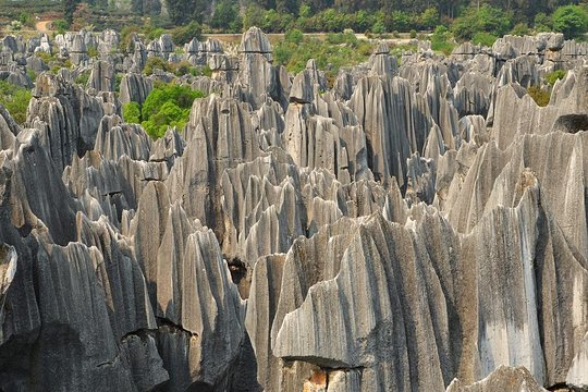 Kunming Day Trip to Stone Forest  Private Tours and Travel Guide Asia Shanghai CITY Kunming Destination Tour