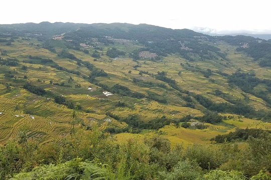 Private 3 Day Tour to Jianshui Old Town and Yuanyang Rice Terraces from Kunming  Private Tours and Travel Guide Asia Shanghai CITY Kunming Destination Tour