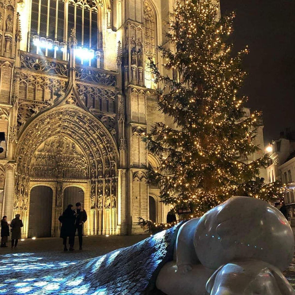 Je hebt de vrijheid om alles te doen, wees gewoon aardig  Dichtbij het centrum van Antwerpen Shared room in condo vacation rental 44537497