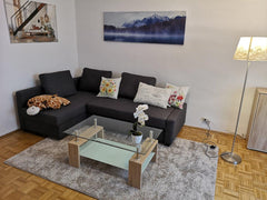 The apartment consists of a bedroom with double bed, a spacious living room with Vienna, Austria Spacious apartment WITH BALCONY close to center Entire condo vacation rental 49241170