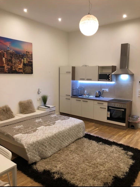 Große Wohnküche, Doppelbett, ausziehbares Sofa, Alles vorhanden, Bügeleisen, Was  Matimli Appartments near City Entire rental unit vacation rental 44273993