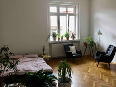 The 5th district has so much to offer,  located in the heart of Vienna with cute Vienna, Austria sunny room in the center of Vienna Private room in rental unit vacation rental 44657542