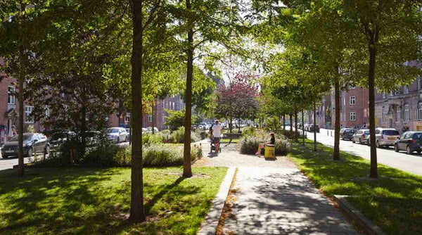 Enjoy your stay in Copenhagen in this centrally located Vesterbro apartment with Frederiksberg, Denmark Amazingly located Vesterbro apartment Entire rental unit vacation rental 568686504121943184