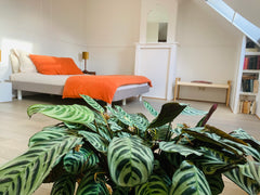 Rooftop Room with private bathroom. Ideal for one or two persons. Ghent, Belgium Sunny room with gardenvieuw and free bikes. Entire rental unit vacation rental 46229261
