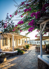 The Mykonian style room has a double bed and a single bed, alghough there is a l Greece Absolutely on the beach,  next to Scorpios Room in aparthotel vacation rental 25610025