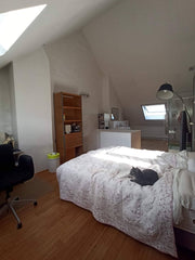 Leuke ruime en lichtrijke privée kamer onder schuin dak met 2 grote veluxen, een Ghent, Belgium Ruime studio in hartje gent (in een gezinswoning) Private room in home vacation rental 49917070