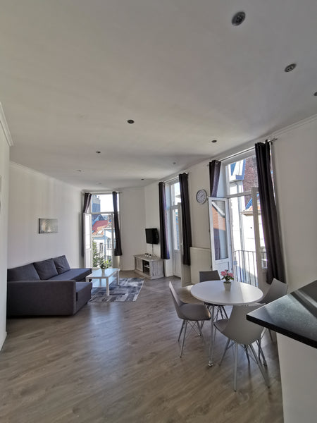 Very bright and spacious (90m2) appartement located 15 minutes walk from the fam Ixelles, Belgium Bright & spacious appartement w/ a nice terrace Entire condo vacation rental 36875380