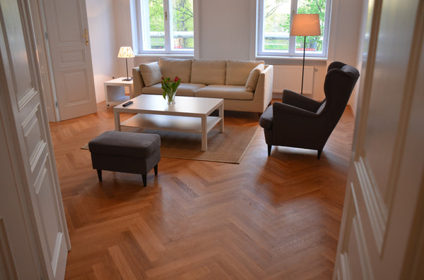 It is a wonderful, high ceilings, newly renovated & modern furnished apartment w Vienna, Austria Wonderful City Apartment Entire rental unit vacation rental 8320627