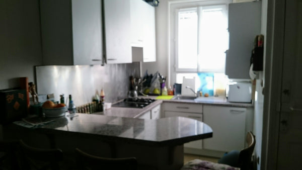 I offer my bedroom in a quiet, large and cosy appartment in a very nice part of  Paris, France Large bedroom in a large cosy appartment! Private room in rental unit vacation rental 20289865