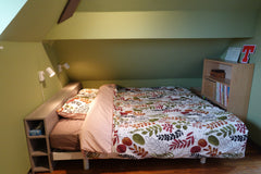 Nice room with a view. One double king-size bed. Adjacent living room with sofa- Brussels, Belgium 1 pretty room, subway, forest & restaurants Private room in guesthouse vacation rental 16574850