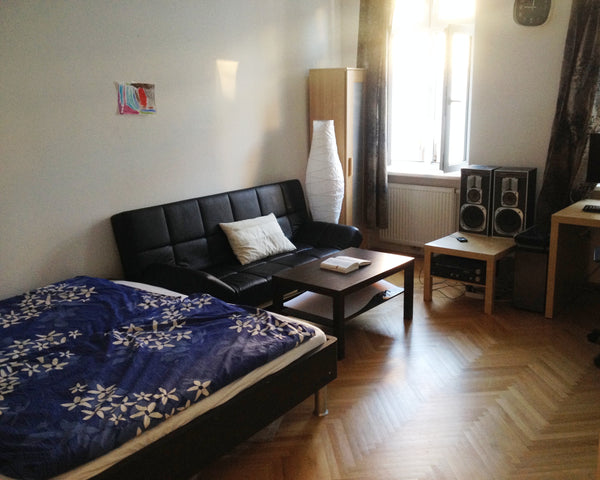 Nice 20 qm room with double bed, couch, desk and big wardrobe. Perfect for coupl Brussels, Belgium Cosy room - 15 min to city center Private room in rental unit vacation rental 10149005