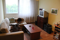 <b>The space</b><br />I offer rental of the apartment in Prague, capital of Czec Prague, Czechia The summer in Prague, Capital of CZ Entire rental unit vacation rental 1116016