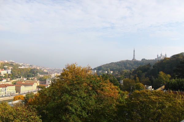 Idéalement placé sur la colline de Fourvière, à deux pas de la Basilique et du V Lyon, France Perchoir sur Fourvière Entire rental unit vacation rental 29956933