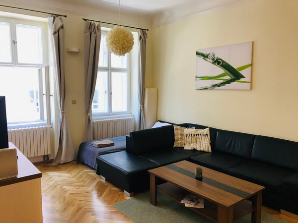 Our new renovated apartment is perfectly situated directly in the heart of Pragu  2BDR apartment in Jungman square Entire rental unit vacation rental 619280300087040260