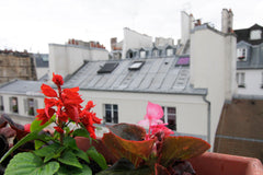 Ready to enjoy the French experience in the heart of the lovely Montorgueil mark Paris, France Montorgueil Nest Entire rental unit vacation rental 524805