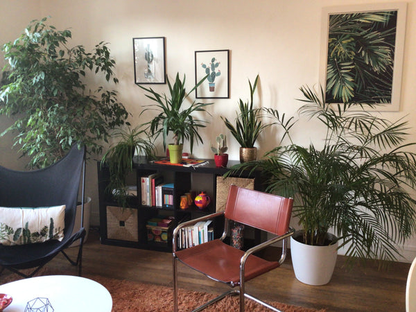 Appartement coquet de 63 m2 composé de 2 chambres avec lit double, une grande pi  Appartement chaleureux au calme  Lyon-Lumière Entire rental unit vacation rental 39866720