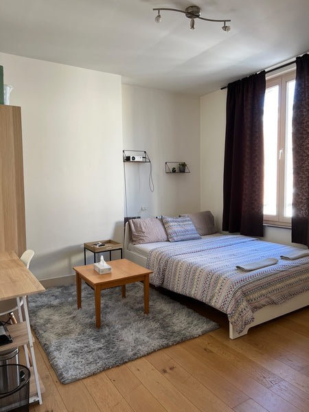 Stay in one of the most beautiful areas of Brussels. <br />Close to the city cen Montpellier, France Heart of Brussels - Quartier Royal - EU Commission Entire rental unit vacation rental 593231965702182893