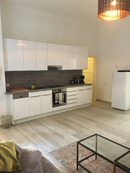 I am renting my apartment in the center of vienna. It is fully furnished and eve Vienna, Austria Vienna apartment Entire rental unit vacation rental 23802876