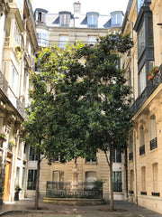 Located between Abbesses and Pigalle, the place is at the heart of a very animat Paris, France Charming and comfortable flat in Montmartre Entire rental unit vacation rental 19689869