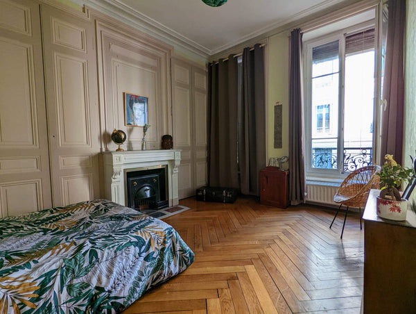 Proche toutes commodités de transports et de commerces, à 5min à pied  de la pla  Grande chambre au coeur de Lyon Private room in rental unit vacation rental 650390398342724109