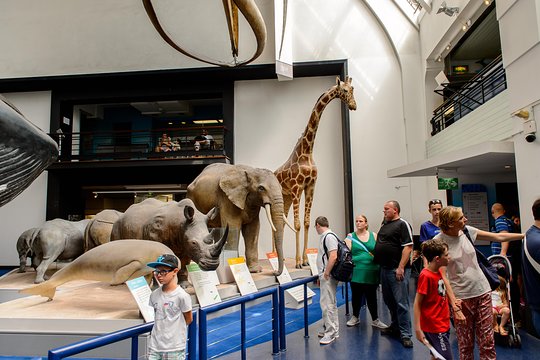 London Natural History Museum Dinosaur Discovery Family Tour  Private Tours and Travel Guide Europe London CITY London Destination Tour