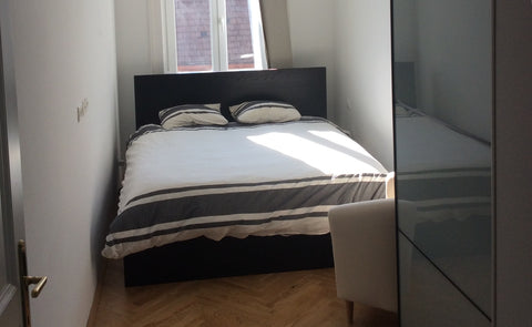 Lovely flat in a traditional viennese building,<br />Very well located, 1 minute Geneva, Switzerland Lovely flat very well located Entire rental unit vacation rental 9194279