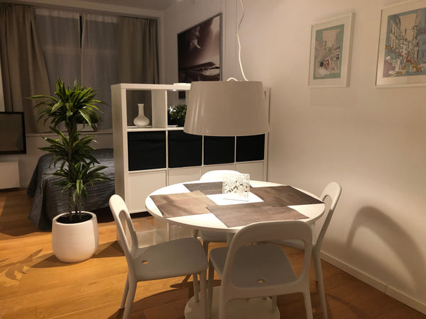 Very nice apartment in Copenhagen’s most vibrant and central area. We have 140 a Copenhagen, Denmark Apartment with Balcony - from 1.10-8.10 Entire serviced apartment vacation rental 35780263