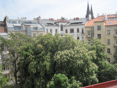 Private room in a shared apartment.<br />We are offering a small but very clean  Prague, Czechia PRIVATE COSY ROOM - IN PRAGUE CENTRE! Private room in rental unit vacation rental 19828231