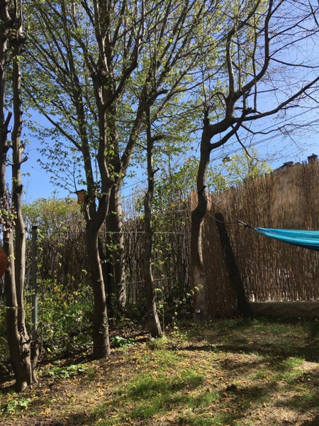 Ich vermiete über die Sommermonate meine schöne Gartenwohnung in guter Lage. <br Vienna, Austria 1-Zimmer Gartenwohnung in grüner Lage Entire rental unit vacation rental 609764148584261603