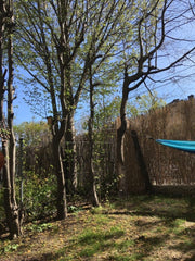 Ich vermiete über die Sommermonate meine schöne Gartenwohnung in guter Lage. <br Vienna, Austria 1-Zimmer Gartenwohnung in grüner Lage Entire rental unit vacation rental 609764148584261603