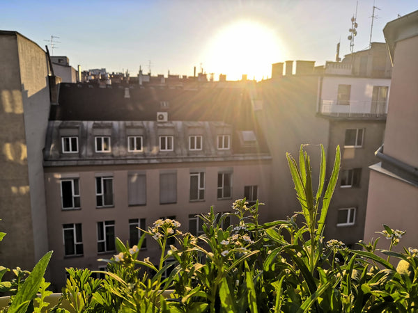 Enjoy the city center while staying in a beautiful and bright apartment!<br />Be Wiener Neustadt, Austria Bright apartment with balcony next to Belvedere Entire rental unit vacation rental 50294457