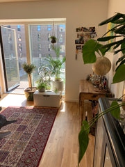 The apartment is in the area of Vestamager  and very close to a protected nature Copenhagen, Denmark Close to nature and The Centre of Copenhagen Entire rental unit vacation rental 49719469