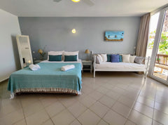 This studio is just renovated. Ideal for 2 people but it can also support a thir Naxos, Greece Studio with terrace, Sea View Entire rental unit vacation rental 12331895