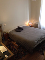 Appartement haussmannien : parquet,moulures, cheminées, comportant une chambre a Paris, France Chambre dans appart haussmannien Private room in condo vacation rental 4863414