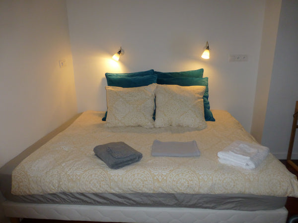 Chambre avec très bonne literie chez l'habitant. . Lit double (160 *200) ou 2 li Paris, France Grande chambre chez l'habitant. Bib. F. Mitterrand Private room in guesthouse vacation rental 21348535
